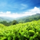atmosphere pollution air greenhouse gases