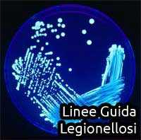 nuove linee guida legionellosi legionella spp laborad